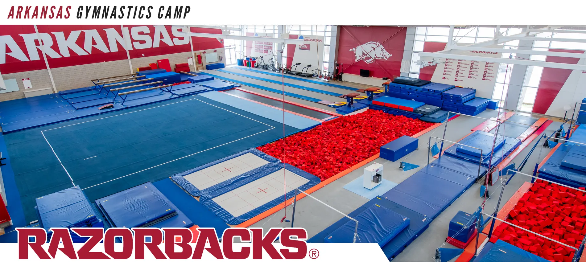 Arkansas Gymnastics Camps