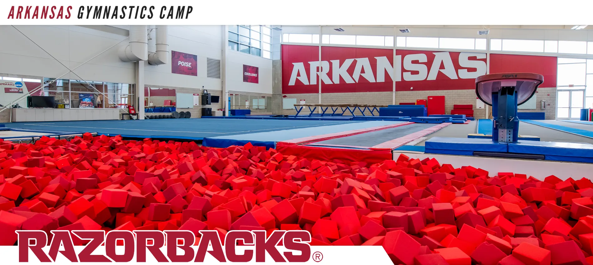 Arkansas Gymnastics Camps